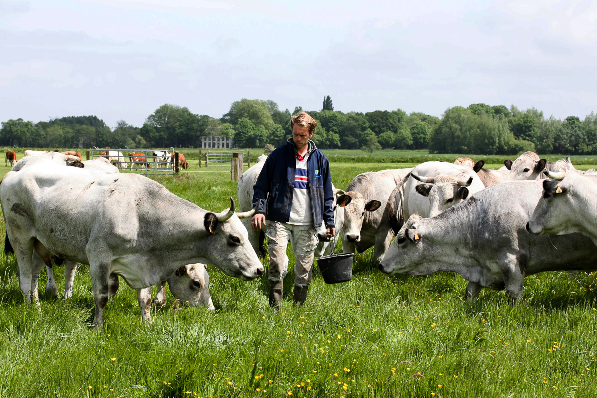 Grasgevoerd Vlees Kopen | Direct Van De Boer | Grutto